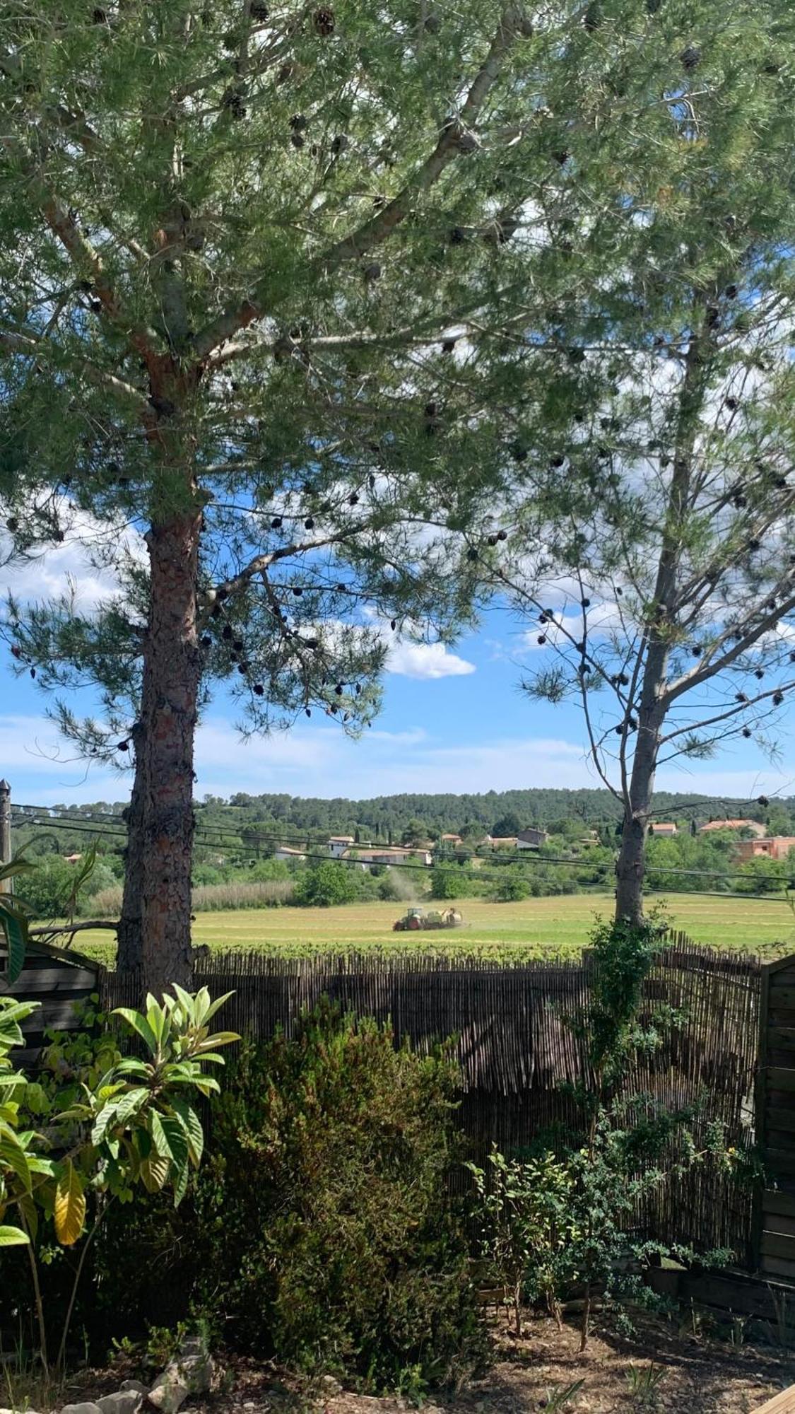 Villa En Bordure De Colline*Piscine*Clim*Netflix Les Matelles Экстерьер фото